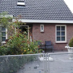 Dendolili Accommodatie bij particulieren Amsterdam